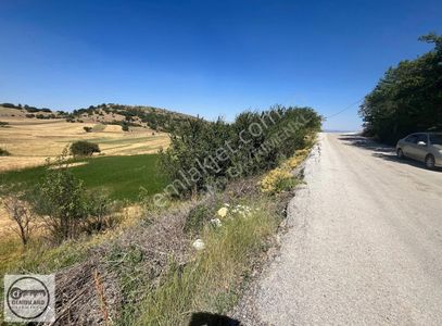 Arsa-Tarla