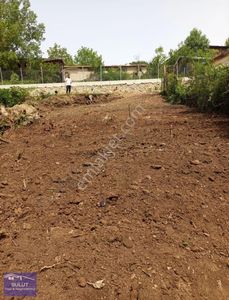 Arsa-Bağ & Bahçe