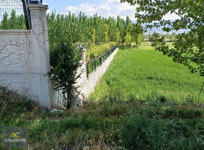 Arsa-Tarla