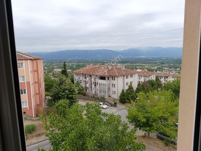 Konut-Daire