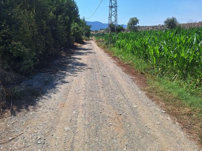 Arsa-Bağ & Bahçe