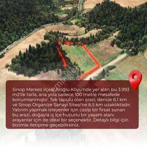 Arsa-Tarla