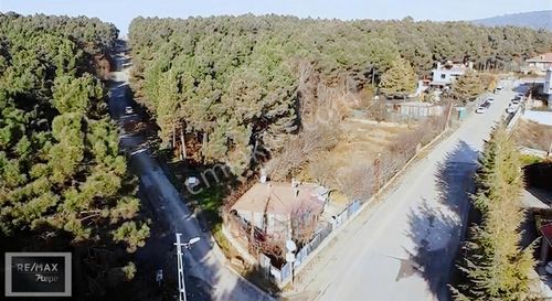 Arsa-Villa İmarlı