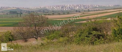 Arsa-Tarla
