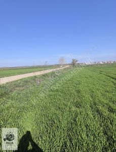 Arsa-Tarla