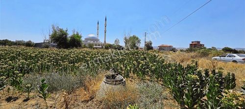 Arsa-Konut İmarlı