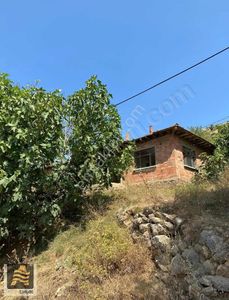 Arsa-Bağ & Bahçe