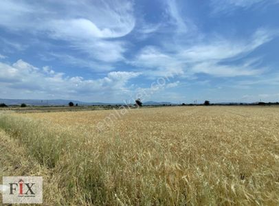 Arsa-Tarla