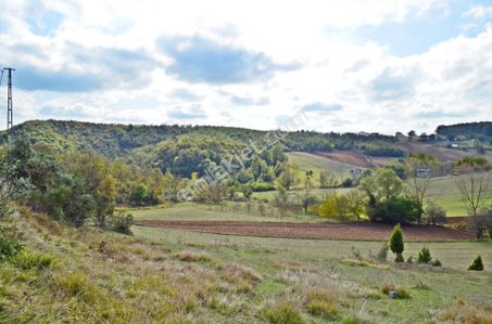 Arsa-Tarla