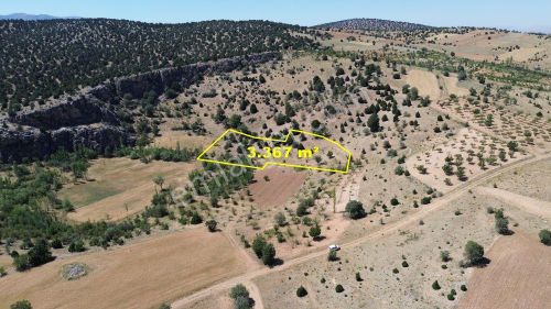 Arsa-Tarla