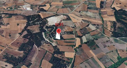 Arsa-Tarla