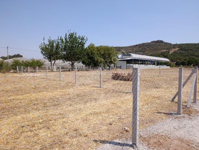 Arsa-Arazi