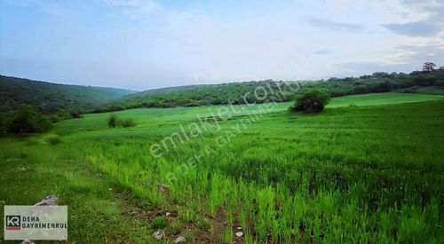 Arsa-Tarla