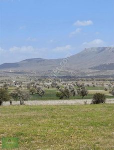 Arsa-Tarla