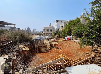 Arsa-Konut İmarlı