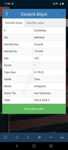 Arsa-Zeytinlik