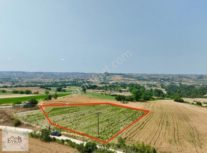 Arsa-Tarla