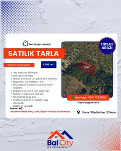 Arsa-Tarla