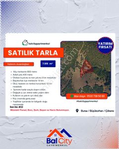 Arsa-Tarla