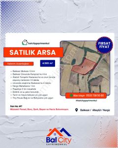 Arsa-Tarla