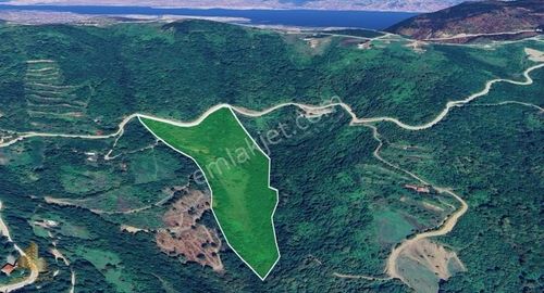 Arsa-Tarla