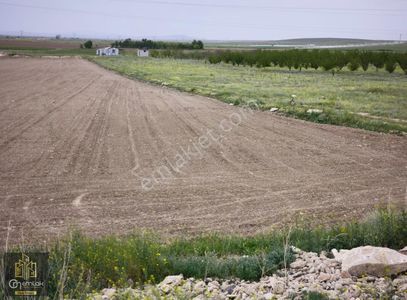 Arsa-Tarla
