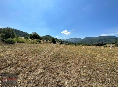 Arsa-Tarla