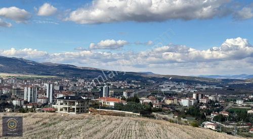 Arsa-Bağ & Bahçe