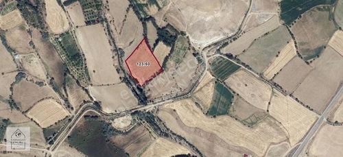 Arsa-Tarla