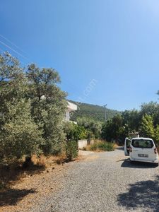 Arsa-Villa İmarlı
