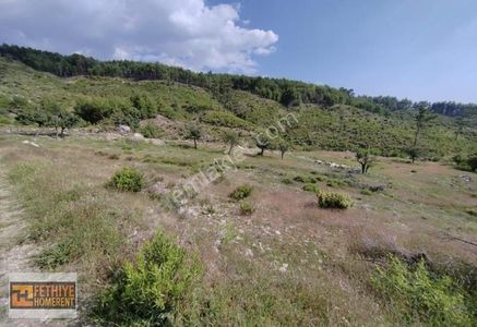 Arsa-Tarla