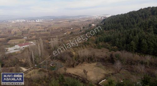 Arsa-Villa İmarlı
