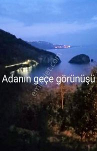 Arsa-Bağ & Bahçe