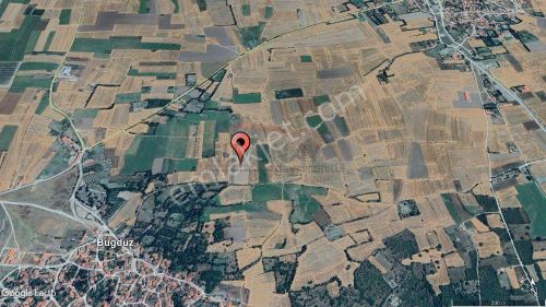 Arsa-Tarla