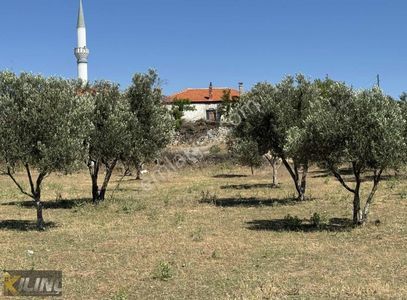 Arsa-Villa İmarlı