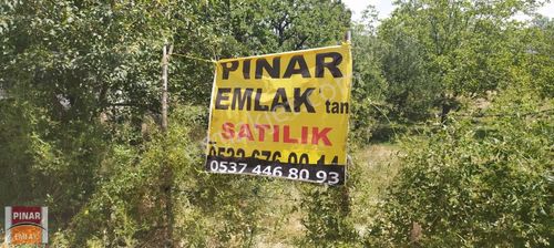 Arsa-Konut İmarlı