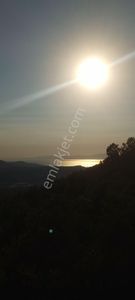 Arsa-Zeytinlik