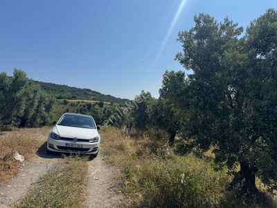 Arsa-Tarla