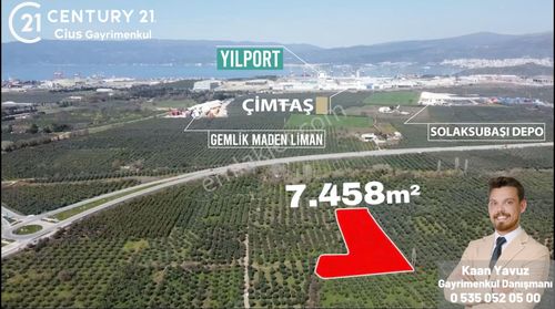 Arsa-Zeytinlik
