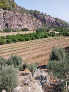 Arsa-Villa İmarlı