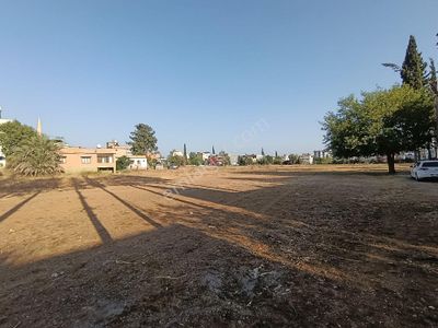 Arsa-Konut İmarlı
