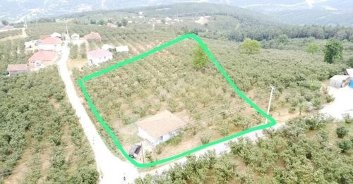 Konut-Müstakil Ev