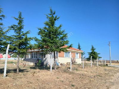 Konut-Çiftlik Evi