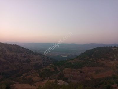 Arsa-Bağ & Bahçe
