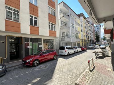 İşyeri-Dükkan & Mağaza