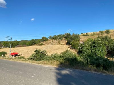 Arsa-Tarla