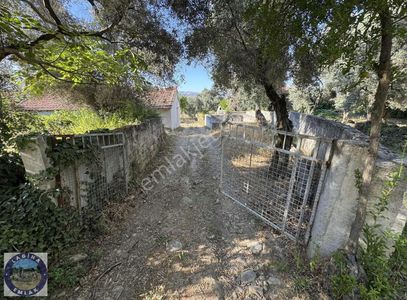 Konut-Çiftlik Evi