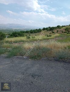 Arsa-Tarla