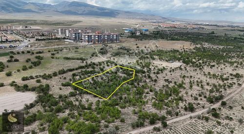 Arsa-Bağ & Bahçe