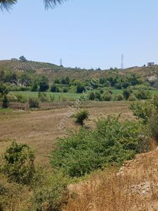 Arsa-Tarla